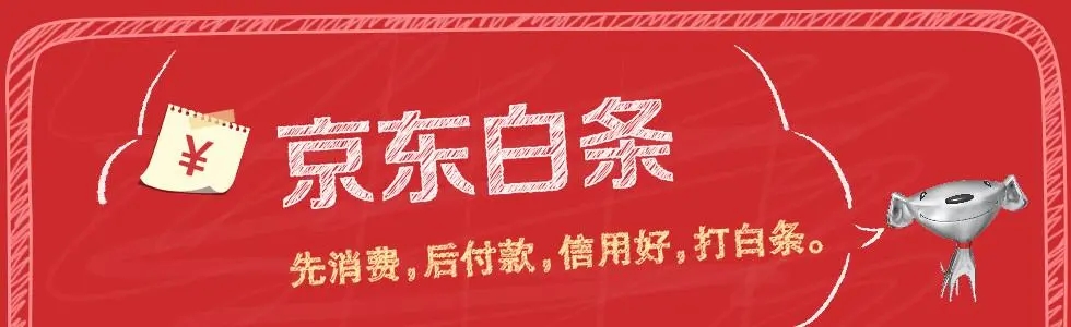 欠京东白条5000多200天没还怎么办